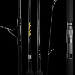 ASWB Elsea Series