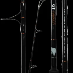 ASWB GT Tamer Series