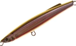 Bassday Bungy Cast 100