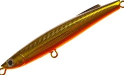 Bassday Bungy Cast 100