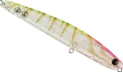 Bassday Sugapen 120