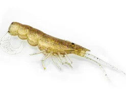 Chasebaits Curly Prawn 60