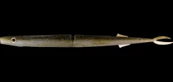 Daiwa Bait Junkie Gardie