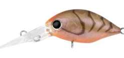 Daiwa Infeet Rolling Crank DR