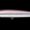 Daiwa Infeet Slippery Dog 97