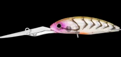 Daiwa Infeet Spike 53EXDR