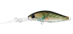 Daiwa Infeet Spike 44EXDR