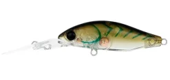 Daiwa Infeet Spike 44MR