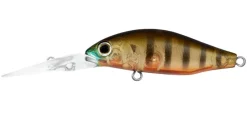 Daiwa Infeet Spike 44MR