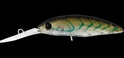 Daiwa Infeet Spike 53SP