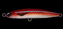 Daiwa Saltiga Rough Ride 160F