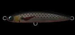 Daiwa Saltiga Rough Ride 160F