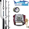 Daiwa Seaborg 1200 / Saltist Electric Combo