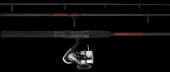 Daiwa TD Combo