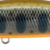 Duo Spearhead Ryuki 80SP