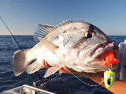 Hunt Tackle Kacka
