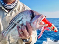 Hunt Tackle Kacka