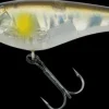 Imakatsu IS Wasp 50