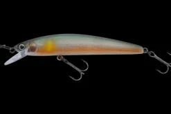 Jackall Lill Bill 70F