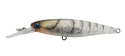 Jackall Squirrel 61SP