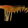 King Brown Killer Prawn