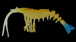 King Brown Killer Prawn