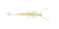 Madeye Paddle Prawn