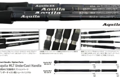 Ripple Fisher Aquila