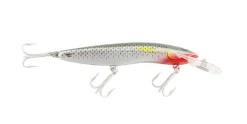 RMG Scorpion 125dd