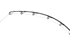 Zenaq Defi Muthos Accura Type R